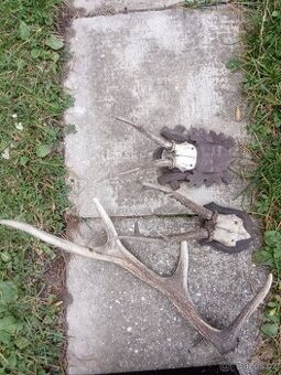 Parohy např.na věšák ;)