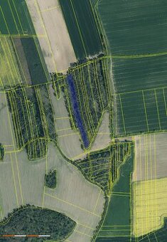 Lesní pozemky v obci Koloveč 8986m2