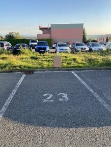 Pronájem parkovacího místa