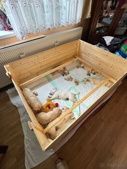 Porodní box