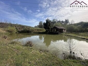 Prodej pozemků se dvěma rybníky, 15 233 m2 - Hradec u Stoda