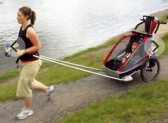 Nordic walking set chariot hiking set