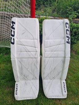 CCM eflex 6
