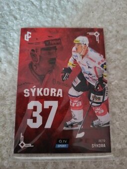 Petr Sýkora Pardubice - 1