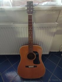 Kytara Washburn - 1