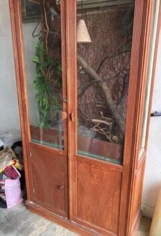Terarium