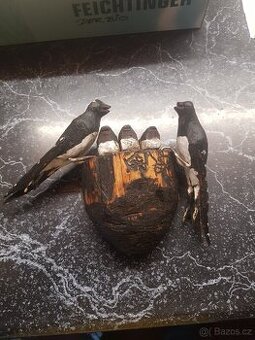 Starozitna drevorezba-vlaštovky.