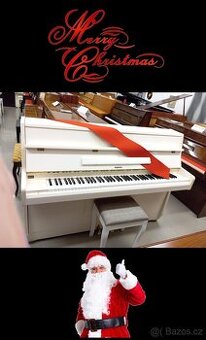 Aspheim (Hyundai)-Dovoz i na Štědrý den 24.12.