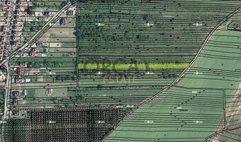 Spoluvlastnický podíl 728 m2 na pozemcích v k.ú. Moravany u 