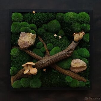 Mechový obraz / obraz ze stabilizovaného mechu