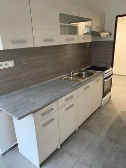 Nabízím k pronájmu byt 3+1L v ulice Školní, Děčín-Letná