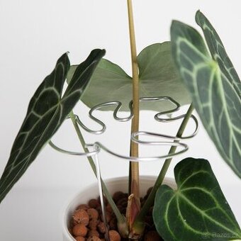 Opora pro rostliny, list monstery, stříbrná