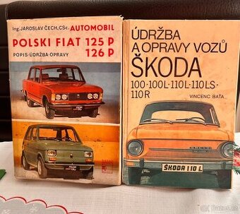 Polski Fiat , Škoda 100