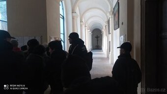 Koupím SP, LP Josef Laufer, případně i SK.Golem