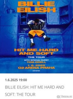 BILLIE EILISH VIP klubové patro