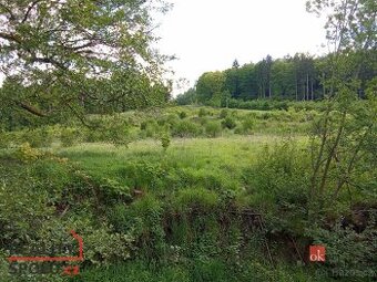 Prodej, pozemky/bydlení, 22894 m2, 40502 Janská, Děčín [ID 6