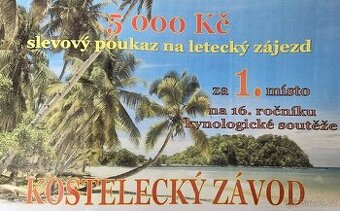 Slevový poukaz na letecký zájezd