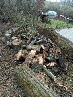 REZERVOVANO - Dřevo - 1