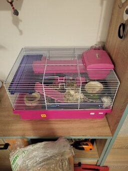 VĚNUJI POUZE K CHOVU , DŽUNGARSKÉHO KŘEČKA