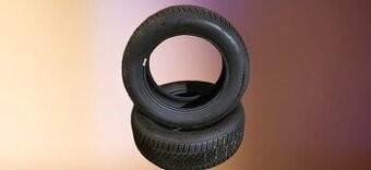 215/60/16 99H Dunlop - zimní pneumatiky - poslání