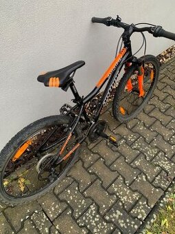 Detske horske kolo Author