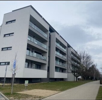Pronajem 1+kk, 42m2