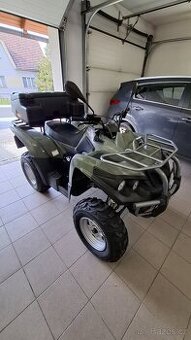 ACCESS MAX SP 250-U