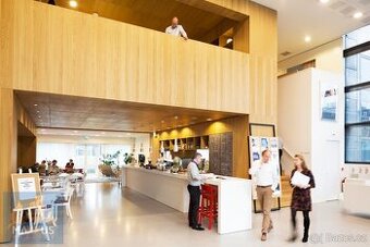 Světlem prozářená flexibilní kancelář pro 1 osobu, Praha 1 -