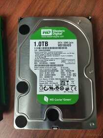 HDD 3,5 WD Caviar green 1TB SATA