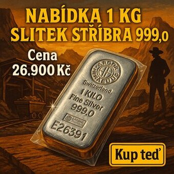 1kg Stříbrný slitek