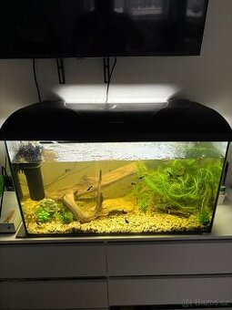 Akvárko 120l. - 1