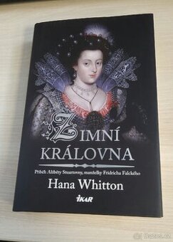 Kniha Zimní královna - 1