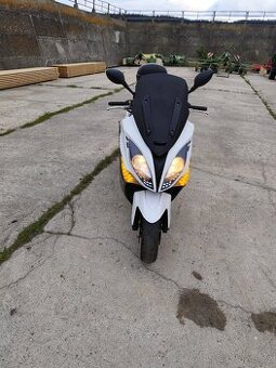 Skutr300 ccm