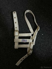 ohlávka pro hříbě Harry’s Horse - 1