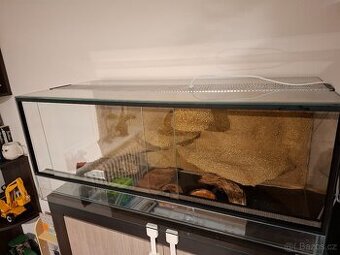 Terárium s 3D stěnou