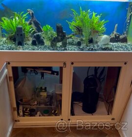 Sweet water fish tank/aquarium incl. fish for sale