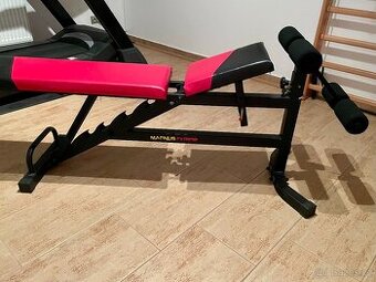 Profesionální lavička Magnus Extreme