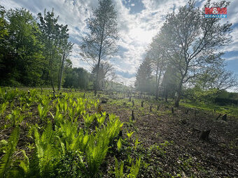 Prodej pozemku k bydlení, 830 m², Orlová, ul. Bezručova