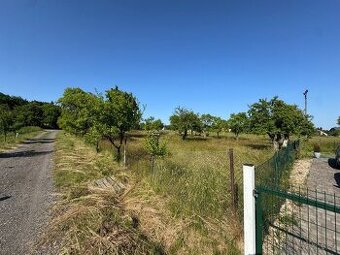 Pronájem zahrady 700 m² / Jizbice Zavadilka