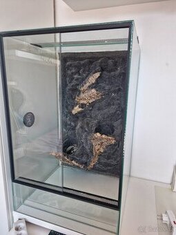 Terarium