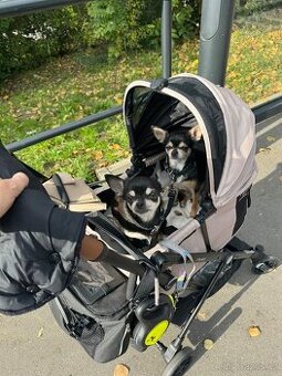 Kocarek pro pejsky psy Fikago