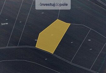 Prodej pole 8 228 m², Bítouchov, ev.č. 2025-03-27-2