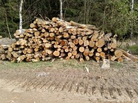 Palivové dřevo Bříza - akční cena 850 kč prostorový metr