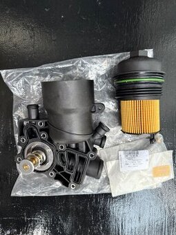 Termostat Audi - 1