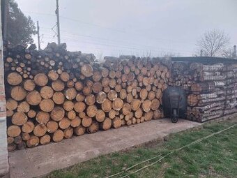 Prodám 31 m³ proschlého dřeva v kulatině