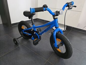 Specialized Riprock Coaster 12"