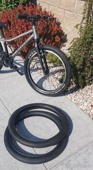 Rascal 20"