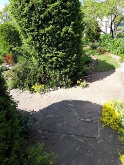 Pronájem zahrady v zahrádkářské kolonii