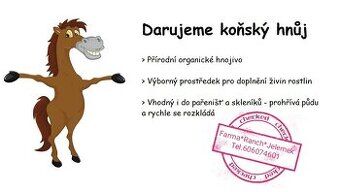 Koňský hnůj