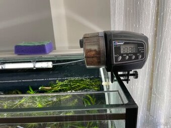 Akvarium